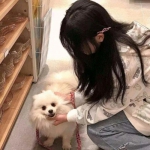 电子mg官方网站截图